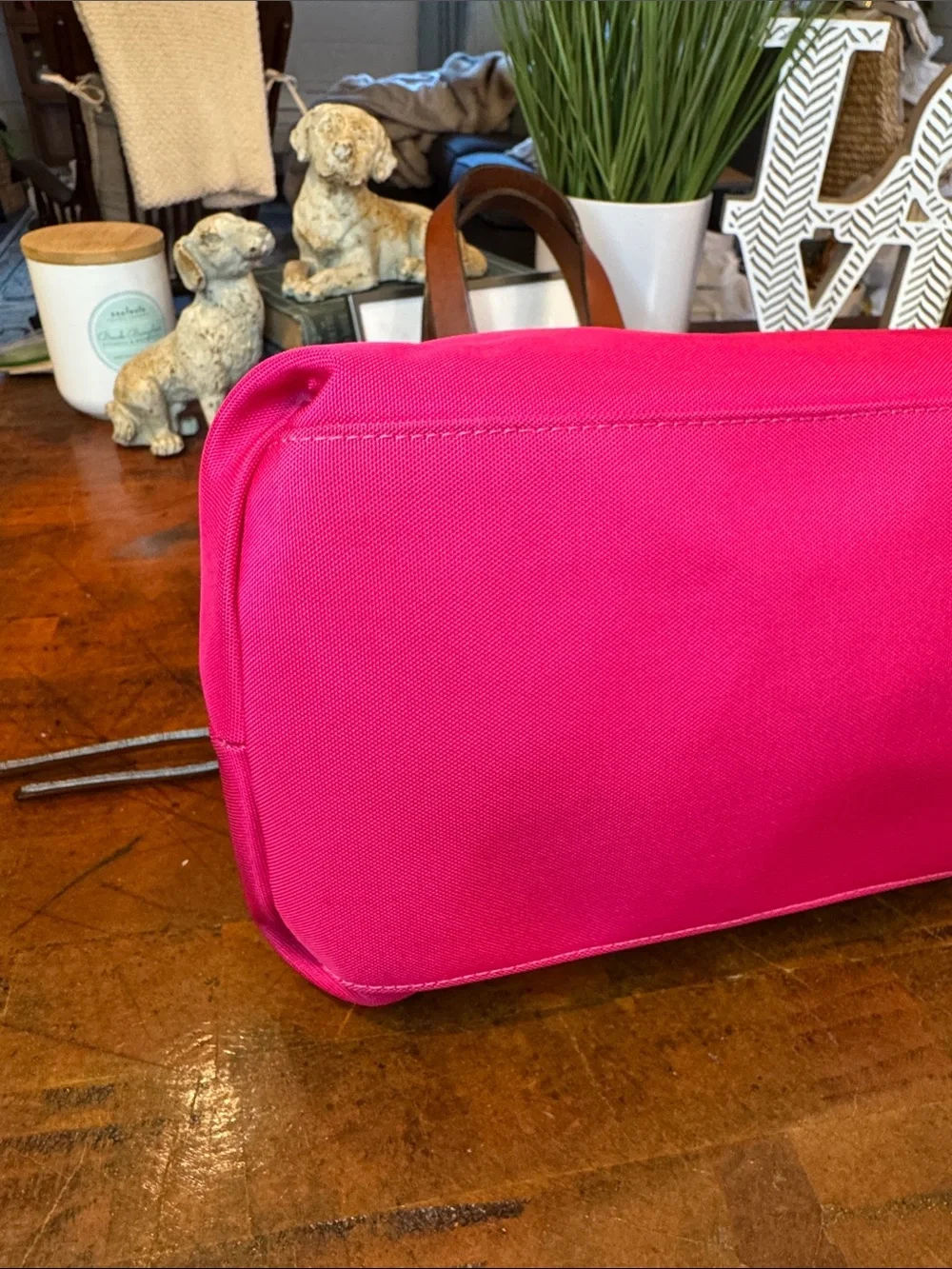 Dooney & Bourke Hot Pink Nylon Satchel with Brown Leather Trim